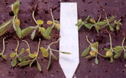 ��ä�]������D(��)�A��ä�]�������p(�k)�A�شӮ������q�︭���j���Ӯ�شӥH������ä�v