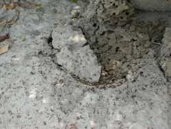 �N�Ʊ_���}�A�i�o�{����ӥX���J�I�����Ƥθ��_�������c