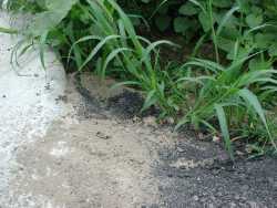 �����_�вT���ɡA���Ʒ|�E���ЮG��v�_