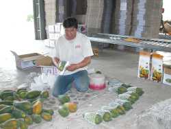 ��ʱĦ��᪽���B�ܶ��f���i��Τ@���ť]��