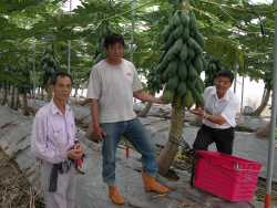 ��ʾ�g�ˮ����G�ƫ��K�Ħ�