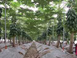 �ж��޲z�o�y�A���Ǥ����b���G�A��ʥͪ��դ@�P���M����