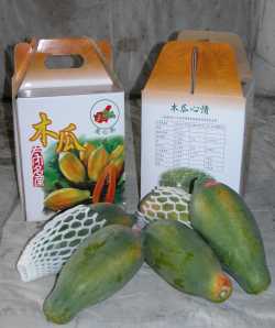 �~�P���~�ĺ��§���]��