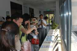 �i�ܰꤺ����ͥD�n����~��