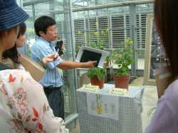 �ūǤ��C��յ�L�u�}�ᵲ��