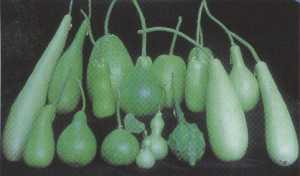 ��Z�~�ض��~���ܤƤj�A���j�۵M���ǧ@