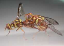 ���b������n�ʹ���,�e�謰����,��謰����