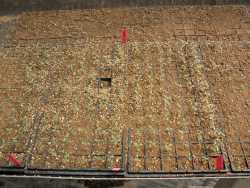 椬��ؤl�c��