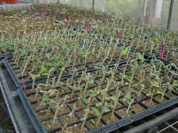 椬���紡�c��