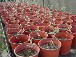 椬���ͭ]�e�����|