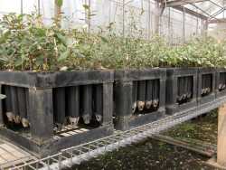 椬��޴Ӻޭ]���|