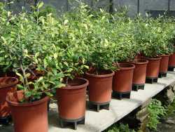 椬���_�ڬ��S�ڮ��