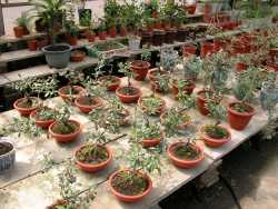 椬��֮�y�����|