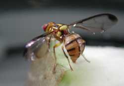 ���b���Z���n�ʹ���