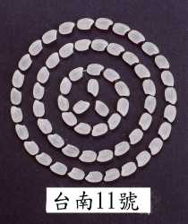 �x�n11���զ�