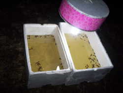 �O������(�ٹq�O�w)