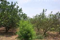 �ƾ��ľ����v-�H�ɾ��B�z,��:�B�z��,�k:�@���