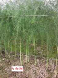 ��Ī���x�n�|���Ӯ�