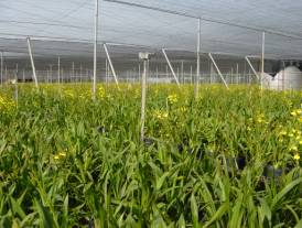 ������������E