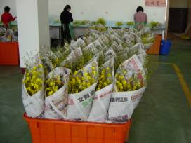 ���������B�e���f