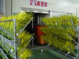 ����������Ȼ]�w���B�z