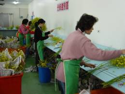 �����������ť]��