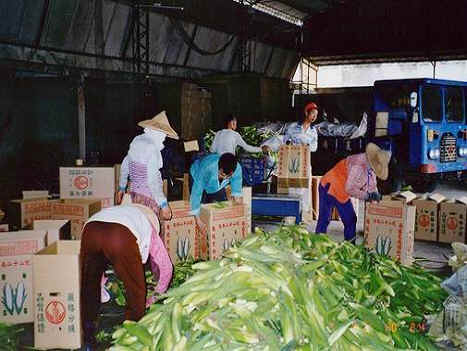 ������ť]�ˤ�í�w�ѳf