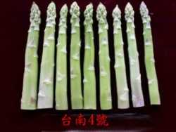 ��Ī���x�n�|�����