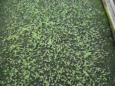 �v�ܱ�Ĥ@���q�|�]