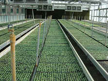 �v�ܱ�ĤG���q�|�]��288��޽L�|�]