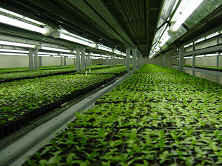 �v�ܱ�ĤT���q�|�]-�C�ųB�z