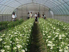 �~�P�v�ܱ�L�u���Ŵ��|�]��w�ӥж�62�ѱ���