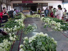 �~�P�v�ܱ𶰳f�����ť]��