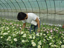 ��ӥN����Ħ��e����������