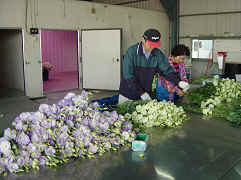 �~�P�v�ܱ���ŻP�N���t�]