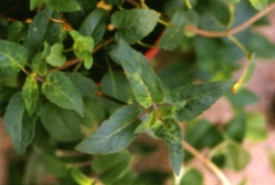 ù�ǴO���f�����f�x