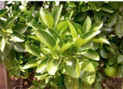 ���|�j�����K�鬰�������q�Ϋ~�譺�n����