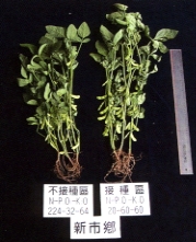 �򨧱��خڽF��,��I��ΰ��F91%