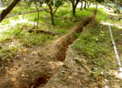 ��αĲ`�h�I��,�ĪG�̨�