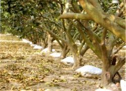 �����ΤŪ����m��g��,���N�ڸs���ީ��g��