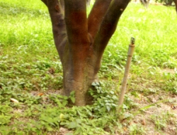 �G��ݳ]�m��@�]�I,�è̤��P�ͨ|��,�A�ɾA�רѤ�,�Hí�w���q�P�~��