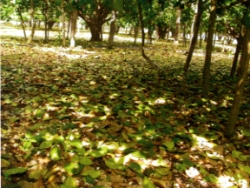 �K�u�����|�����ç󴫷s���A���קK�Ӯ�]�ʤ��ӳy���Y������