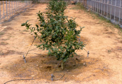 �G��]�m��@�t��