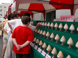 �~�P�A�G�i��