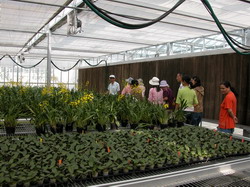 �ź��ǰϮi�X