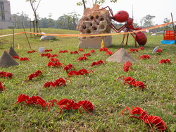 �����ƥͺA�G�m