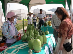 ���|�����_�y�����֤p��ʡB�����p�V�ʡB���P�G������Z4��5�ءB�D�ʡB���J�ʵ�