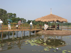 �K���D�F�έ������������[��Ͱ�