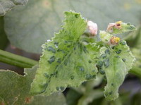 �����O��,�K�Y,�ܧ�