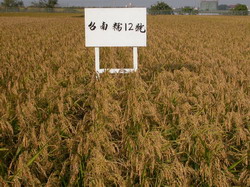 �x�n�z12���j���n�ж���������